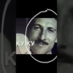 Австро-венгры