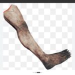 Нога друг собака