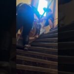 Поднятие мотора 360 кг по очень крутой винтовой лестнице