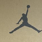 Нашел кроссовки Jordan 12 на улице